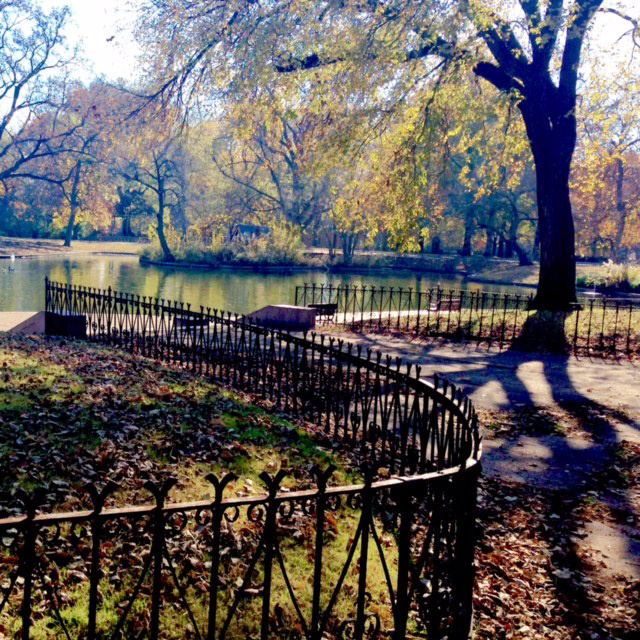 short fence and pond in fall