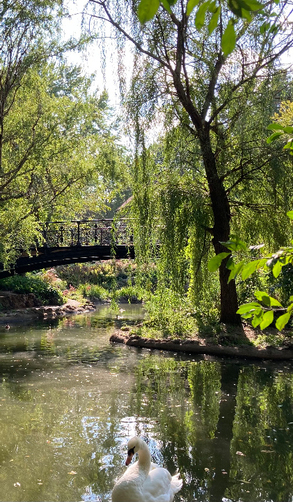 Grotto profile pond